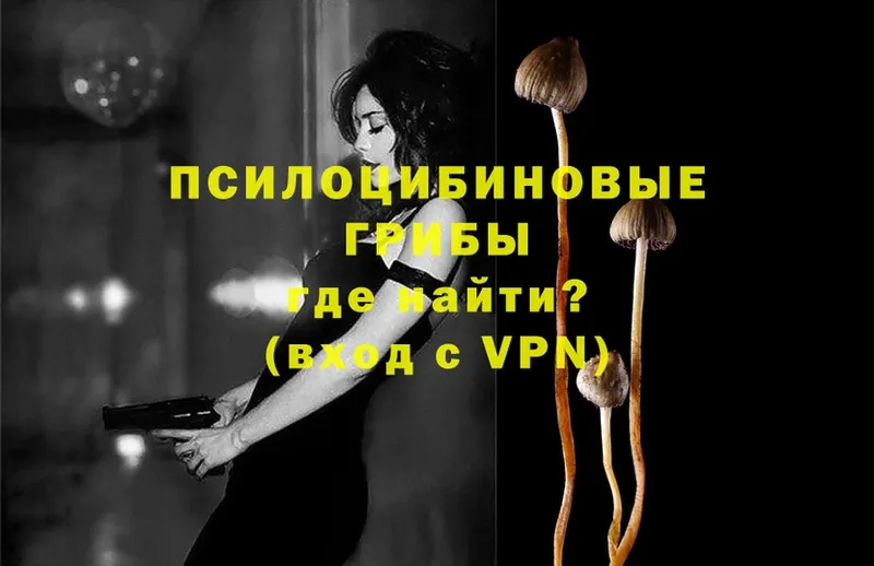 Псилоцибиновые грибы Psilocybe  Выкса 